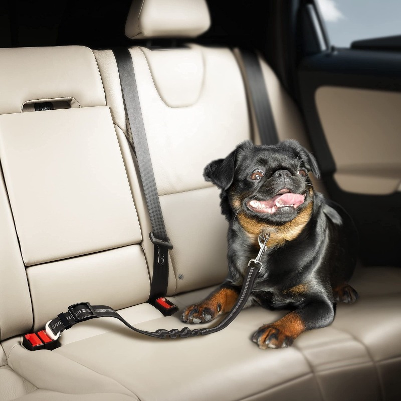 Retractable Dog Car Harness Se – Snap Fastener Set recenzja i cena