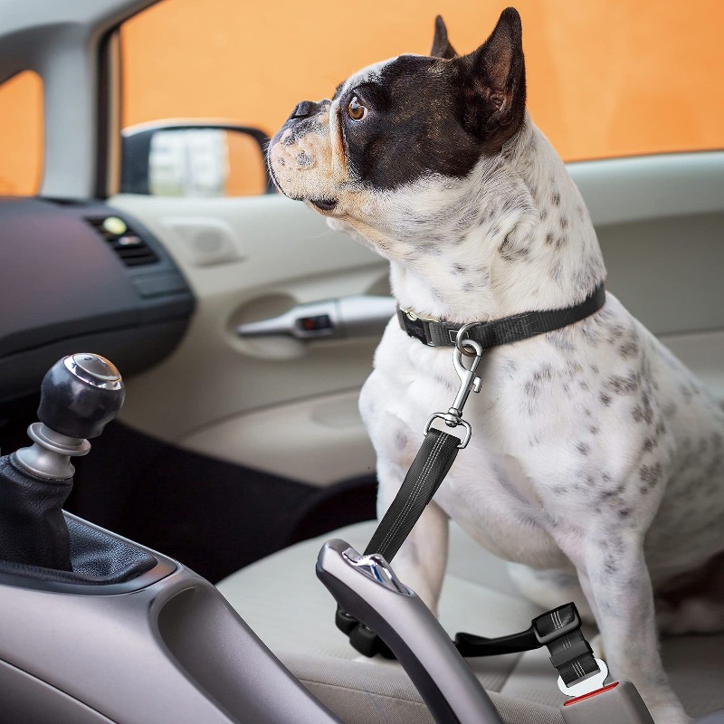 Retractable Dog Car Harness Se – Snap Fastener Set recenzja i cena